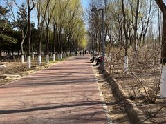 -大兴滨河森林公园