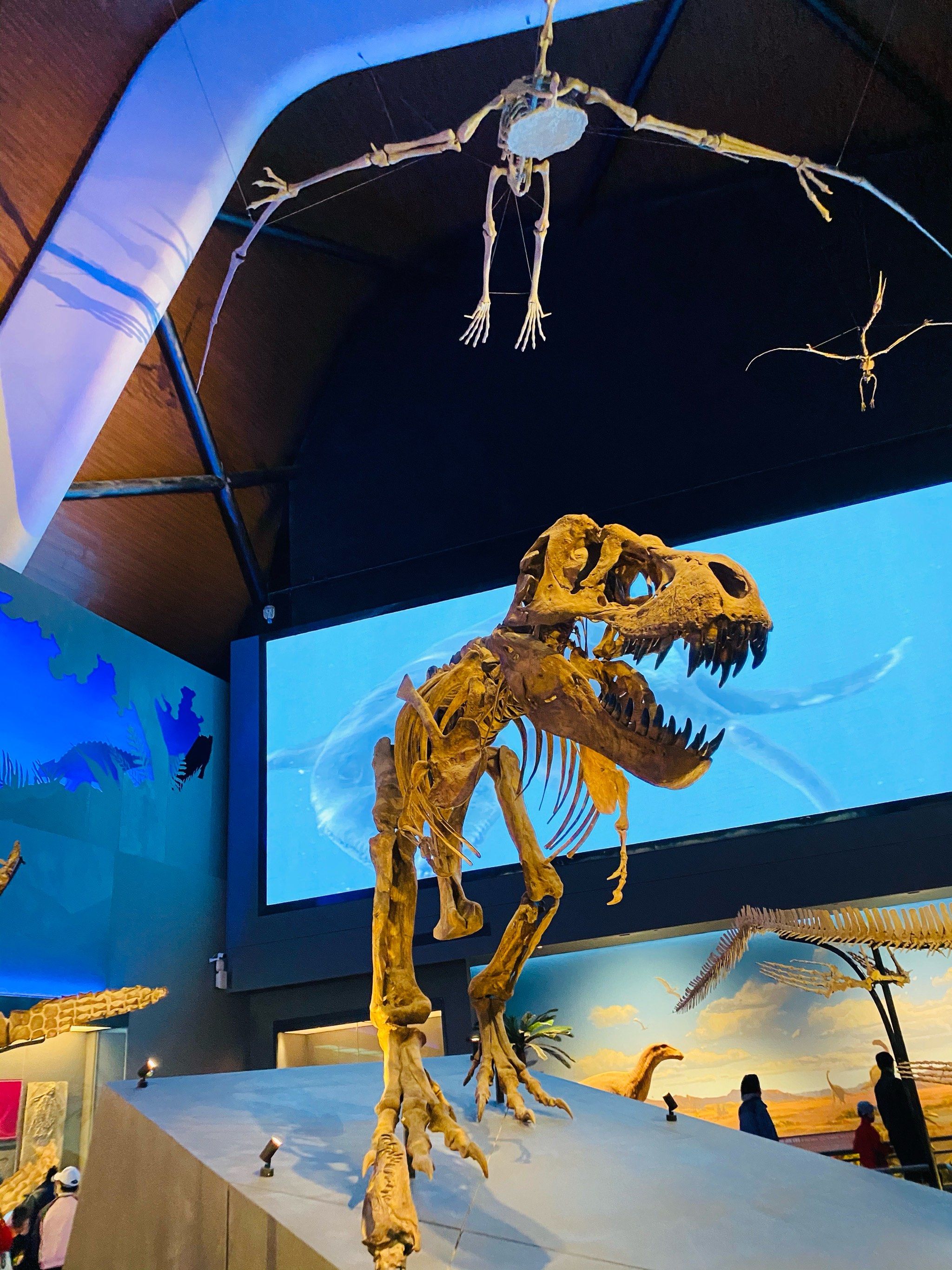 0元玩转这座城#神奇博物馆在哪里 #传承古代文化欣赏中国历史 #一眼