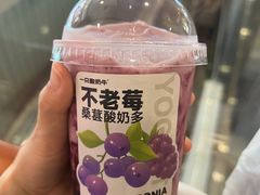 -一只酸奶牛(丹尼斯大卫城店)