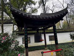 -西湖风景区十里琅珰-五云山