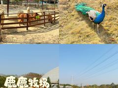 -盈香心动乐园