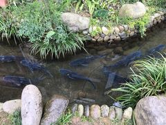 -万景饭店·鱼街农家菜