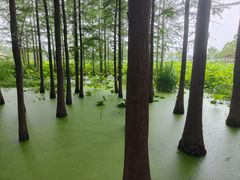 -云龙湖旅游景区