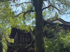 -韩湘水博园