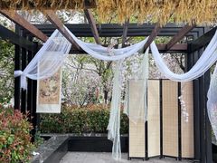 -高东镇樱花园