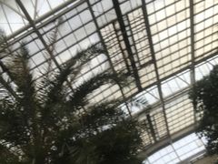 -龙达温泉生态城