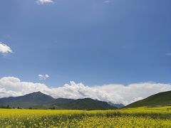 -扁都口生态休闲旅游区