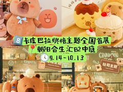 -斯普瑞斯奥特莱斯