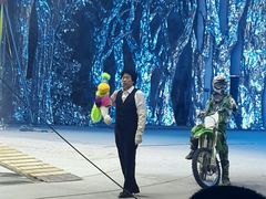 -灵玲国际马戏城