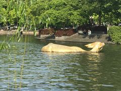 -西湖天地