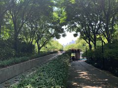 -苏州河梦清园环保主题公园