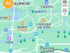 -上海滨江森林公园
