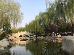 -西安青龙寺遗址景区