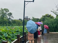 -成都南湖公园