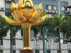 -金莲花广场