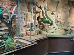 -帕帕拉兹宠物(亚洲旗舰店)