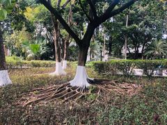 -黄埔古港