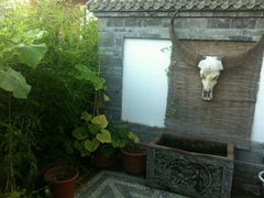 android_upload_pic-慢丽江·云南野生菌土鸡锅(西山店)