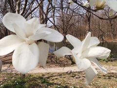 -共青国家森林公园-售票处