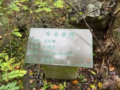 -海口火山口国家地质公园