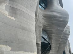 -证大喜玛拉雅中心