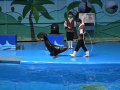 -石家庄极地海洋世界