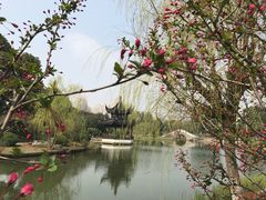 -花溪公园