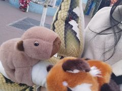 -北京野生动物园