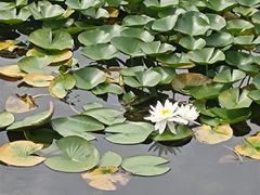 -石湖景区