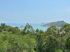 -广东惠东海龟国家级自然保护区