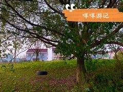 -乌镇景区