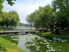 -后襄河公园
