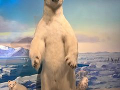 -陕西自然博物馆