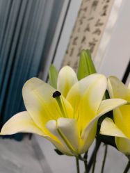 -Oasis Beauty水磨坊科技美肤中心