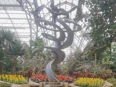 -南山植物园