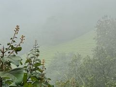 -敬亭山风景名胜区