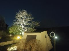 -東大方(武康千秋广场店)