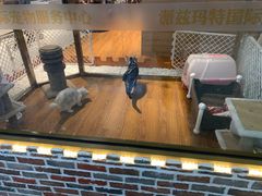 -乐宠宠物店(世纪金源店)