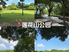 -莲花山公园