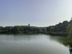 -宜兴龙背山森林公园