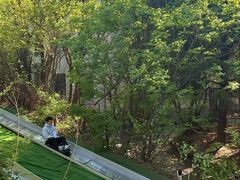-富斯特索道