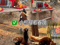 -灵玲国际马戏城