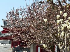 -大慈恩寺(大雁塔)