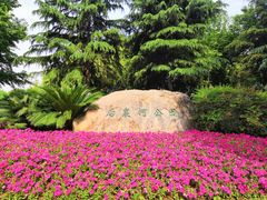 -后襄河公园