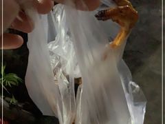 -昌记土制吊烧鸡(佛山市安信物流中心A座店)
