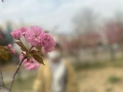 -米斯特比萨(光华桥凯德MALL天津湾店)