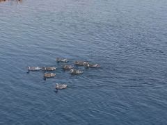 -楠溪江风景名胜区