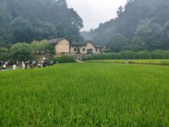 -韶山毛泽东同志故居