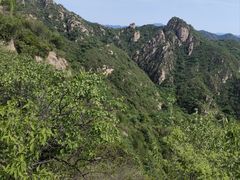 -大岭沟猕猴桃谷风景区