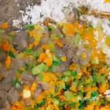 美味的鲜虾蔬菜饼[调皮]